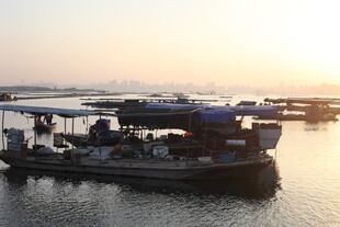 夕阳下的水上船只场景