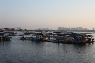 宁静港湾中的停泊船只