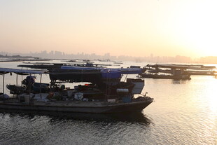 夕阳下的水上船只景象