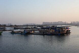 河畔码头船只停泊景象