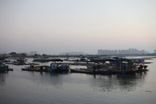 江边停泊的船只景观