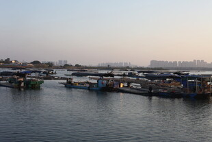 港口船只停泊景象