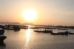 夕阳下的宁静水上景象