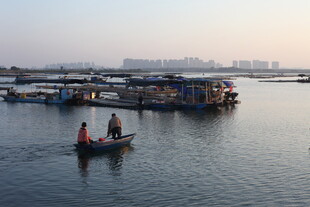 小船悠游于码头