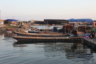 港口停泊的多艘船只