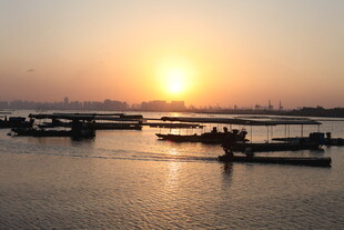 夕阳下的宁静江面船只