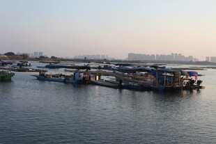 港口停泊的多彩船只