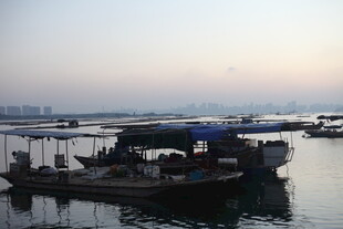 港湾中的停泊渔船