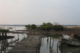 水上木栈道与周边景致