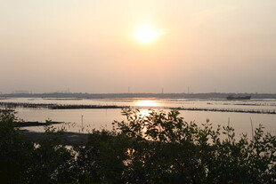 夕阳下的河畔美景