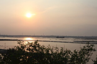 夕阳下的河畔美景