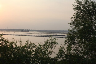 黄昏下的河畔风光