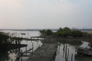 宁静水乡码头风景