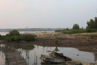 江边停泊的船只与岸景