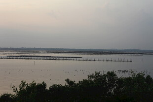 黄昏下的宁静水域景观