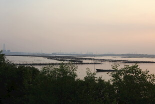 黄昏下的河畔景色