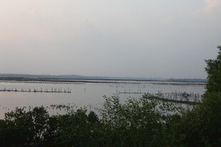 湖畔暮色下的宁静水域