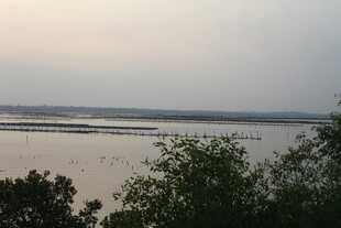 黄昏下的宁静水域景观