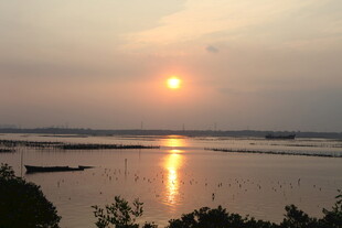 夕阳下的宁静水面美景