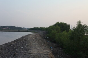 河岸碎石小道与葱郁植被