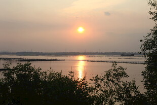 夕阳下的宁静河畔风光