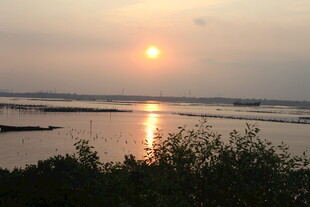 夕阳下的宁静水域景观