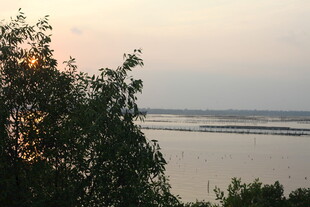 黄昏湖畔树影景色