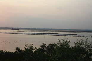 黄昏下的宁静水域风光