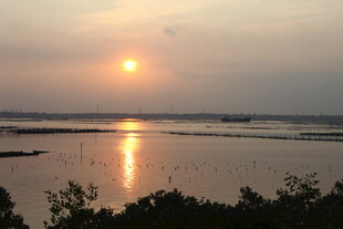 夕阳下的宁静水面景观