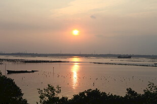 夕阳下的宁静水域美景