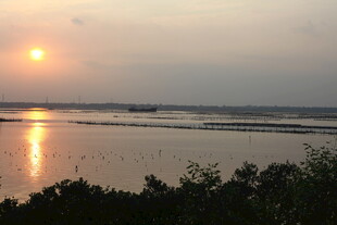 夕阳下的宁静水域景观