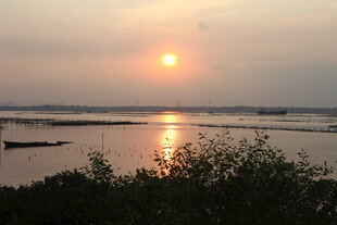 夕阳下的宁静水面景色