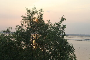 夕阳下的树木与开阔水域