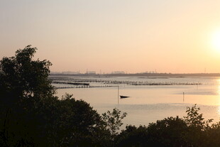 日落时分的宁静河岸风光