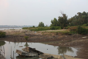 河岸泥滩边的破旧船只