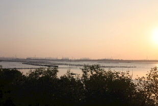 日落时分的河畔风光