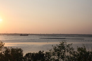 夕阳下的宁静海滨风光