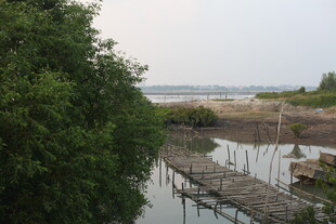 河边木质栈桥与葱郁绿树