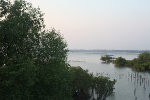 湖畔绿树环绕的宁静水域