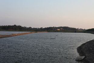 黄昏下的宁静河岸风光