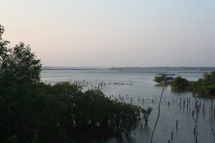 黄昏下的河畔湿地景观