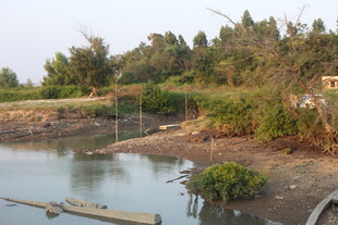 乡村河畔自然景致