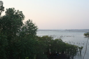 湖畔绿树映天际