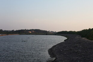 黄昏下的宁静河岸风光