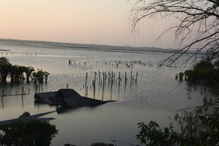 黄昏下的水上独特景观
