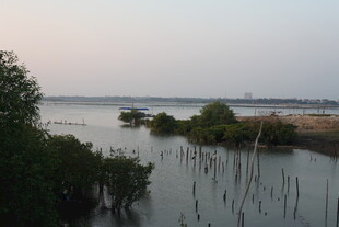 黄昏下的湿地水域景观