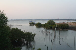 黄昏下的河畔湿地景观