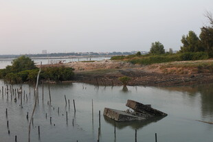 水边残船与林立木桩景象