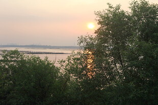 夕阳下的树林与波光湖面