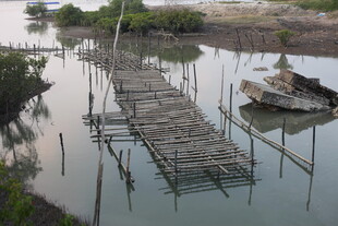 水上木栈道与停泊小船